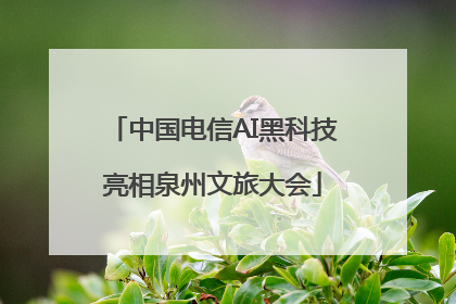 中国电信AI黑科技亮相泉州文旅大会