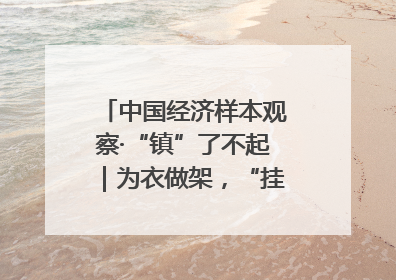 中国经济样本观察·“镇”了不起｜为衣做架，“挂”出来的80亿元“衣架产业”