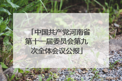 中国共产党河南省第十一届委员会第九次全体会议公报