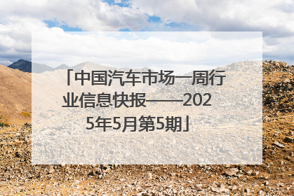 中国汽车市场一周行业信息快报——2025年5月第5期