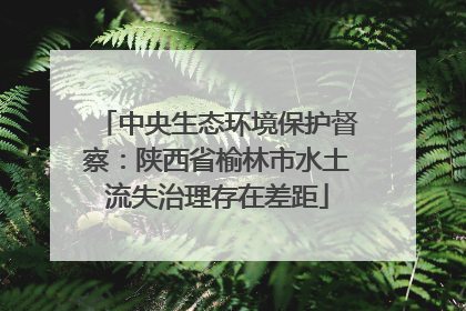 中央生态环境保护督察：陕西省榆林市水土流失治理存在差距