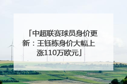 中超联赛球员身价更新：王钰栋身价大幅上涨110万欧元