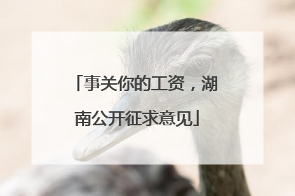 事关你的工资，湖南公开征求意见