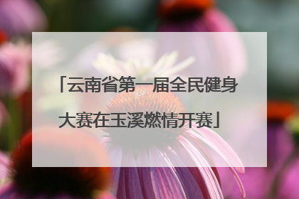 云南省第一届全民健身大赛在玉溪燃情开赛