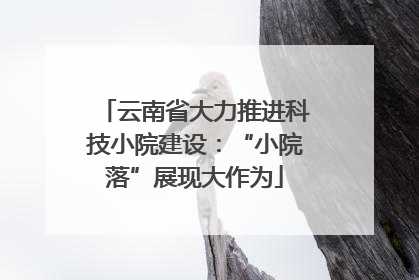 云南省大力推进科技小院建设：“小院落”展现大作为