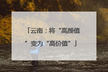 云南：将“高颜值”变为“高价值”