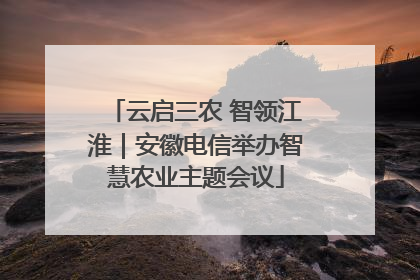 云启三农 智领江淮｜安徽电信举办智慧农业主题会议
