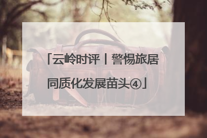 云岭时评丨警惕旅居同质化发展苗头④