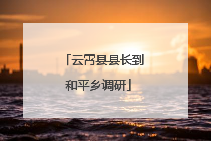 云霄县县长到和平乡调研