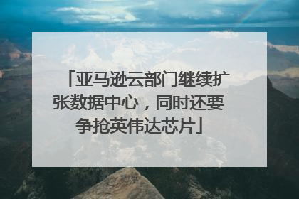 亚马逊云部门继续扩张数据中心，同时还要争抢英伟达芯片