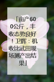 亩产600公斤，丰收态势良好！卫辉：机收比武田现场测产出结果