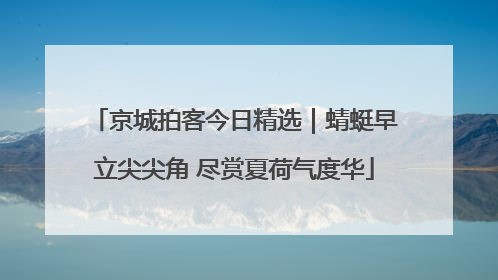 京城拍客今日精选｜蜻蜓早立尖尖角 尽赏夏荷气度华