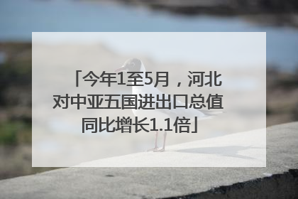 今年1至5月，河北对中亚五国进出口总值同比增长1.1倍