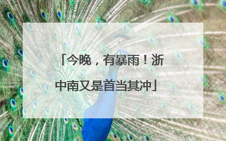 今晚，有暴雨！浙中南又是首当其冲