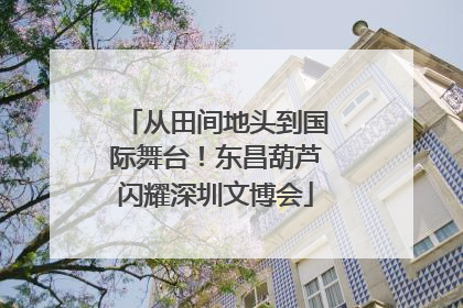 从田间地头到国际舞台！东昌葫芦闪耀深圳文博会