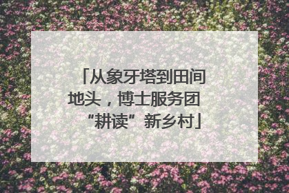 从象牙塔到田间地头，博士服务团“耕读”新乡村