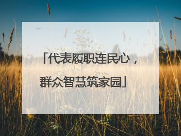 代表履职连民心，群众智慧筑家园