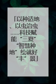 以种适地、以虫治虫……科技赋能“三夏” “智慧种地”绘就好“丰”景