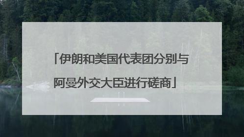 伊朗和美国代表团分别与阿曼外交大臣进行磋商