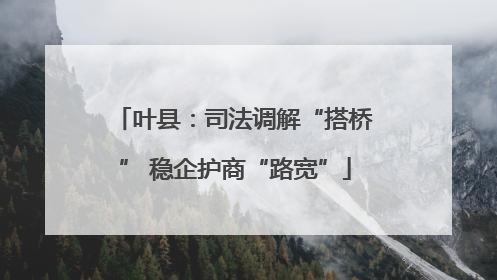 叶县：司法调解“搭桥” 稳企护商“路宽”