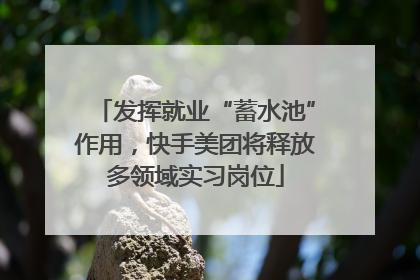 发挥就业“蓄水池”作用，快手美团将释放多领域实习岗位