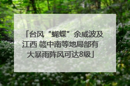 台风“蝴蝶”余威波及江西 赣中南等地局部有大暴雨阵风可达8级