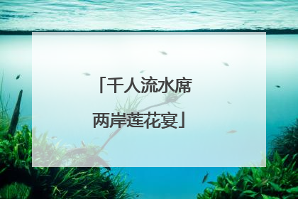 千人流水席 两岸莲花宴