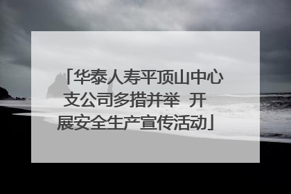 华泰人寿平顶山中心支公司多措并举  开展安全生产宣传活动