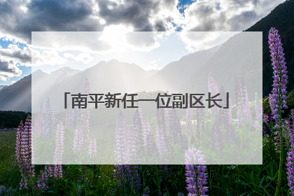 南平新任一位副区长