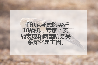 印尼考虑购买歼-10战机，专家：实战表现和两国防务关系深化是主因