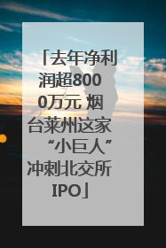 去年净利润超8000万元 烟台莱州这家“小巨人”冲刺北交所IPO