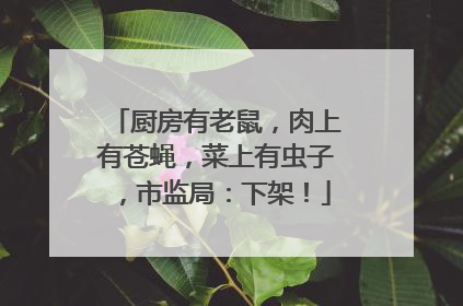 厨房有老鼠，肉上有苍蝇，菜上有虫子，市监局：下架！