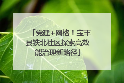 党建+网格！宝丰县铁北社区探索高效能治理新路径