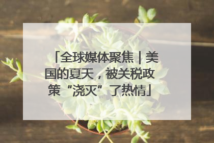 全球媒体聚焦｜美国的夏天，被关税政策“浇灭”了热情