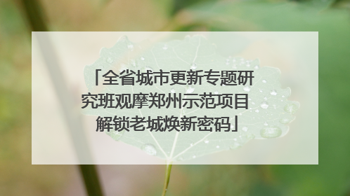 全省城市更新专题研究班观摩郑州示范项目 解锁老城焕新密码