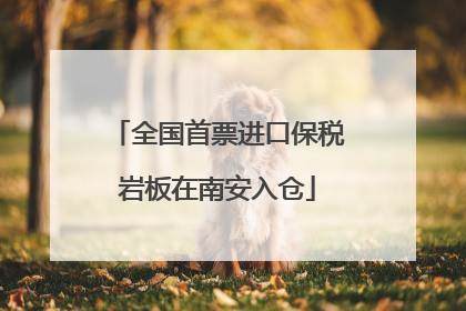 全国首票进口保税岩板在南安入仓