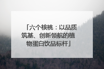 六个核桃：以品质筑基、创新领航的植物蛋白饮品标杆