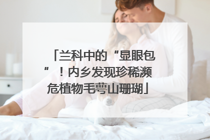 兰科中的“显眼包”！内乡发现珍稀濒危植物毛萼山珊瑚