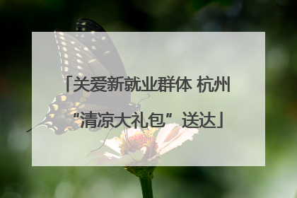 关爱新就业群体 杭州“清凉大礼包”送达