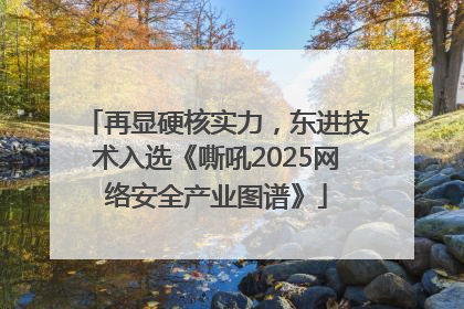 再显硬核实力,东进技术入选《嘶吼2025网络安全产业图谱》