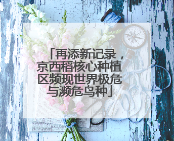 再添新记录，京西稻核心种植区频现世界极危与濒危鸟种