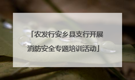 农发行安乡县支行开展消防安全专题培训活动