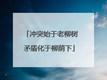 冲突始于老柳树 矛盾化于柳荫下