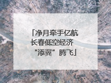 净月牵手亿航 长春低空经济“添翼”腾飞