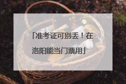 准考证可别丢！在洛阳能当门票用