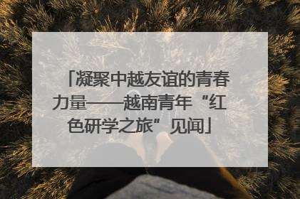 凝聚中越友谊的青春力量——越南青年“红色研学之旅”见闻