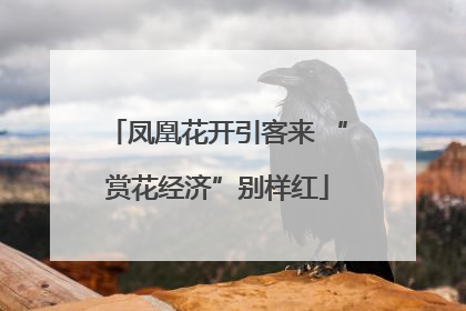 凤凰花开引客来 “赏花经济”别样红