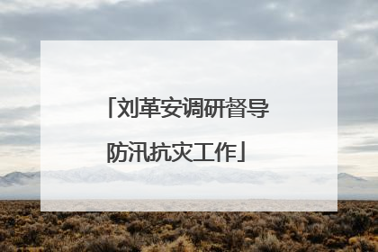 刘革安调研督导防汛抗灾工作