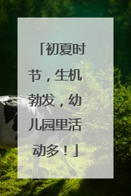 初夏时节，生机勃发，幼儿园里活动多！