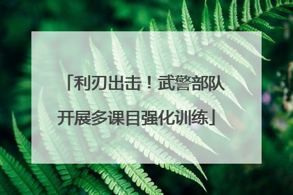 利刃出击！武警部队开展多课目强化训练